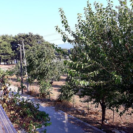 Can Efes Hotel Selçuk Dış mekan fotoğraf