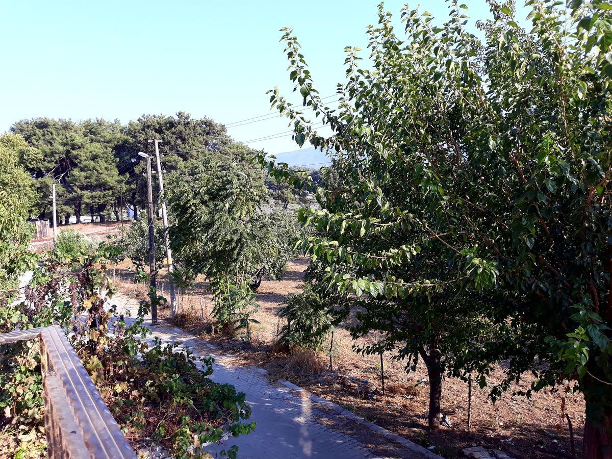 Can Efes Hotel Selçuk Dış mekan fotoğraf